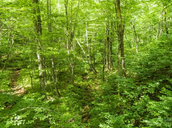 TBD Brothers LN, Mars Hill, NC 28754