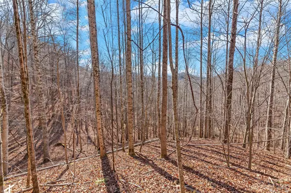 Mars Hill, NC 28754,00000 Mountain Springs RD