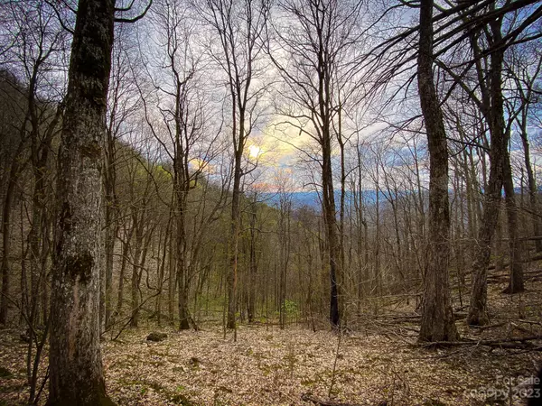 Mars Hill, NC 28754,99999 Metcalf Creek LOOP