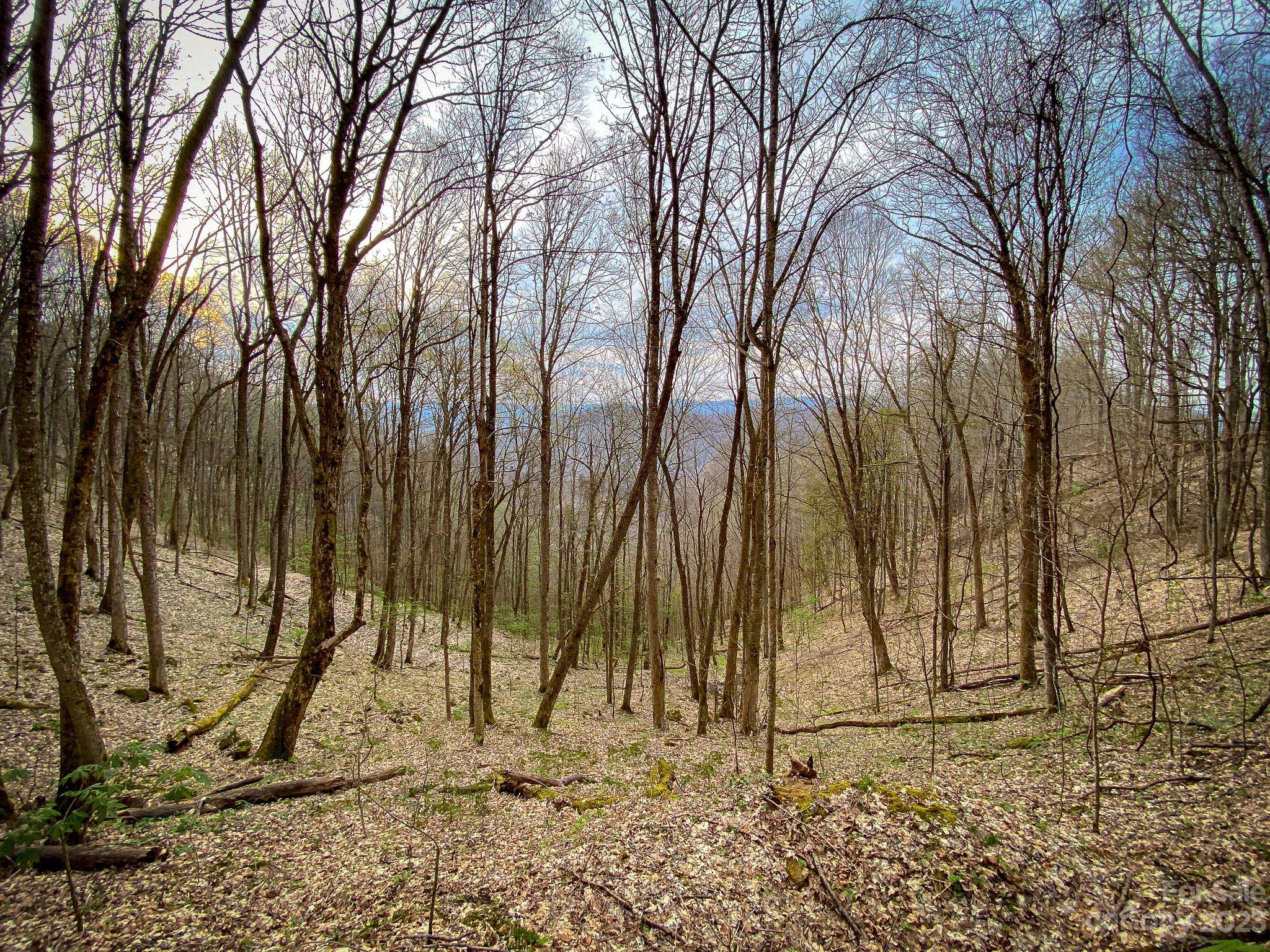 Mars Hill, NC 28754,99999 Metcalf Creek LOOP