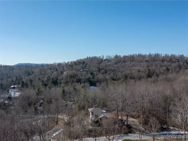 Hendersonville, NC 28739,102 Bollers Knob LN #91