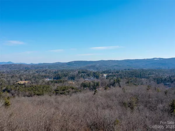 Hendersonville, NC 28739,102 Bollers Knob LN #91