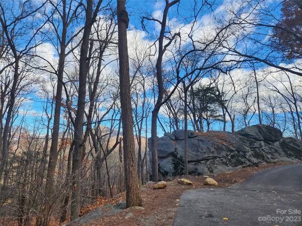 Lot 197 Bald Mountain CRES, Lake Lure, NC 28746