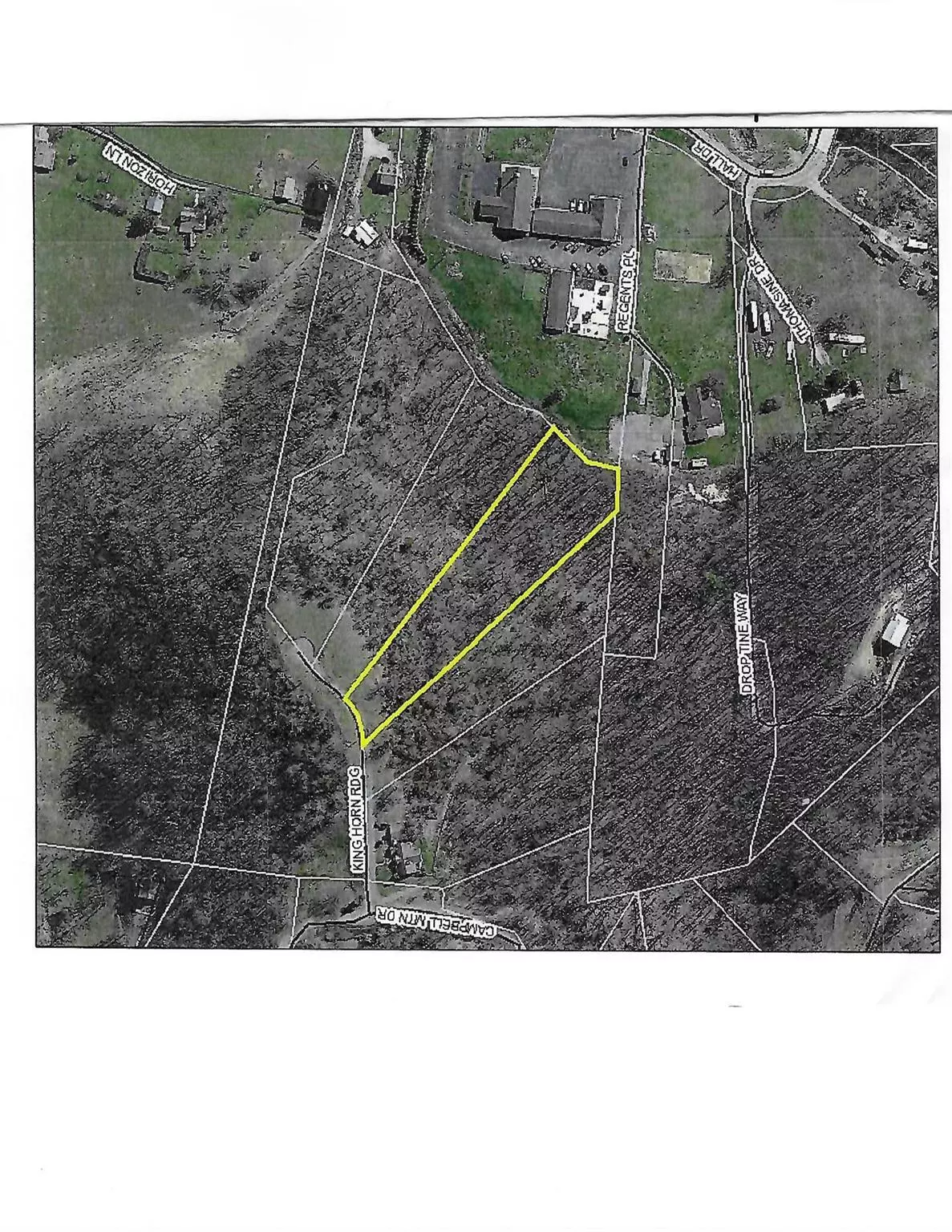 Waynesville, NC 28785,LOT 6 King Horn RDG