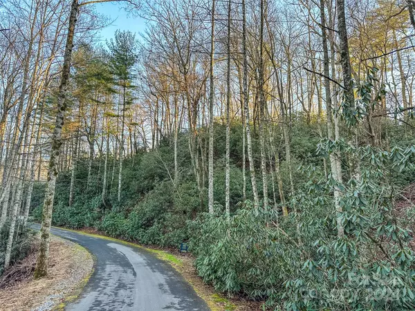 Pisgah Forest, NC 28768,D17 Caroline LN #17