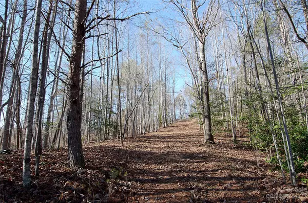 Marion, NC 28752,00 Wildwood Mountain LN #10