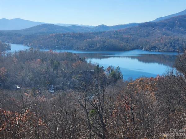 Lot 21 Hawks Nest TRL, Lake Lure, NC 28746