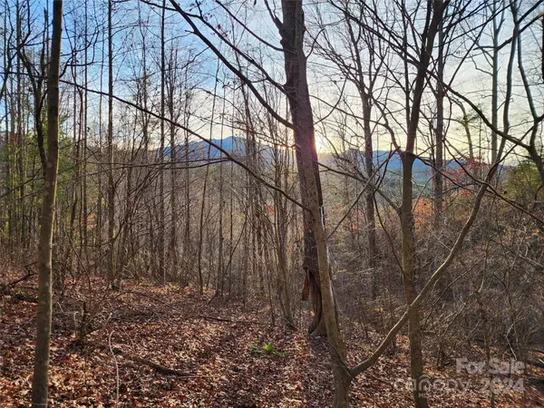 Burnsville, NC 28714,433 Deneen RD