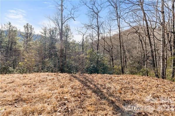 28 Trillium LN #C-1, Black Mountain, NC 28711