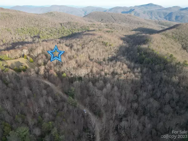 Fairview, NC 28730,TBD Little Pisgah RD