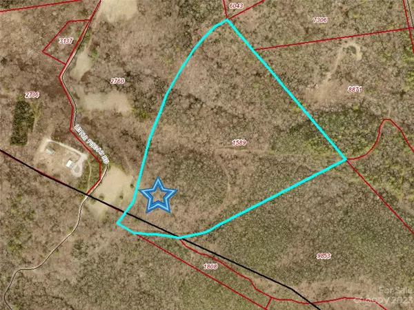 Fairview, NC 28730,TBD Little Pisgah RD