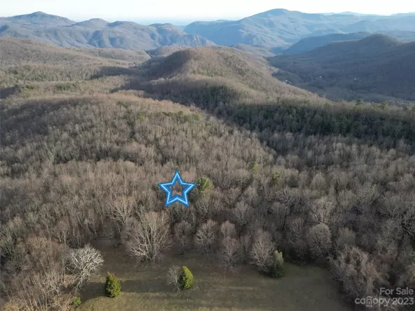 Fairview, NC 28730,TBD Little Pisgah RD