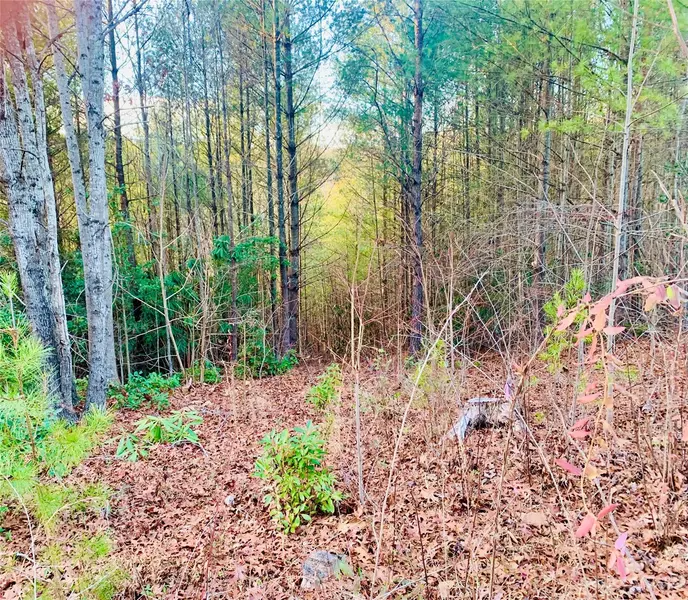 1.93 acres, Lot CB-6 Blowing Pines CT #Lot CB-6, Lenoir, NC 28645