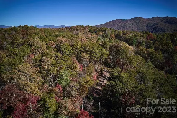 147 Ball RD, Bryson City, NC 28713