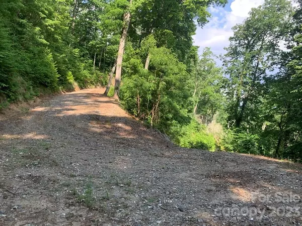 Sylva, NC 28779,5 Deep Spring RD