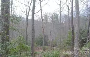 0000 Whippoorwill LN, Fairview, NC 28730