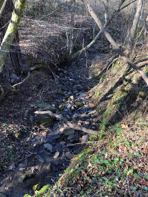 Marshall, NC 28753,00 Silver Mill RD