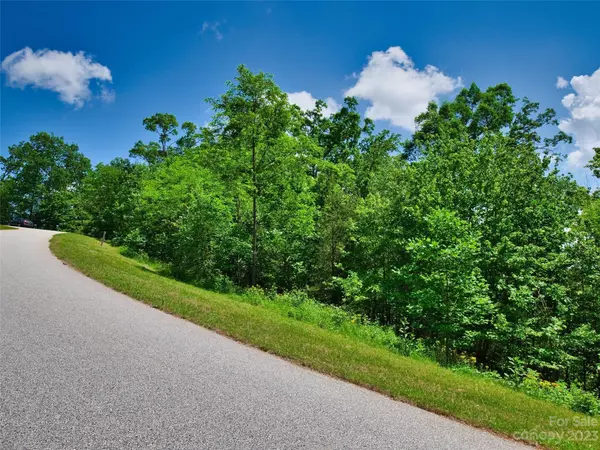 Lake Lure, NC 28746,Lot 64 Bear Cliff WAY