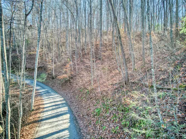Sylva, NC 28779,000 Turtle Creek RD #5,12