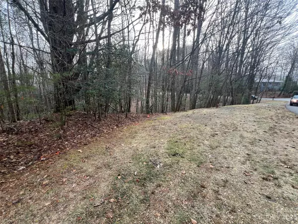 999 Usdasdi DR, Brevard, NC 28712