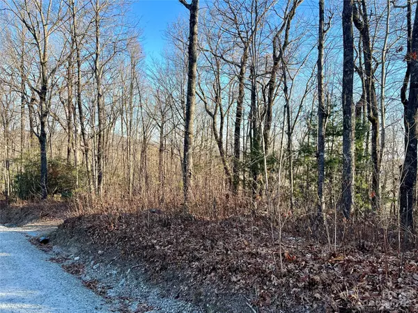 Lake Toxaway, NC 28747,Lot 27 Whetstone Gap RD
