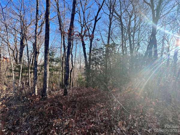 Lake Toxaway, NC 28747,Lot 27 Whetstone Gap RD