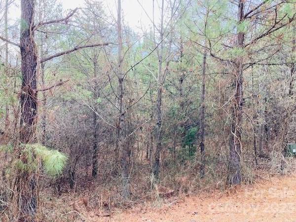 Rutherfordton, NC 28139,Lot # 197 Chimney Creek LN