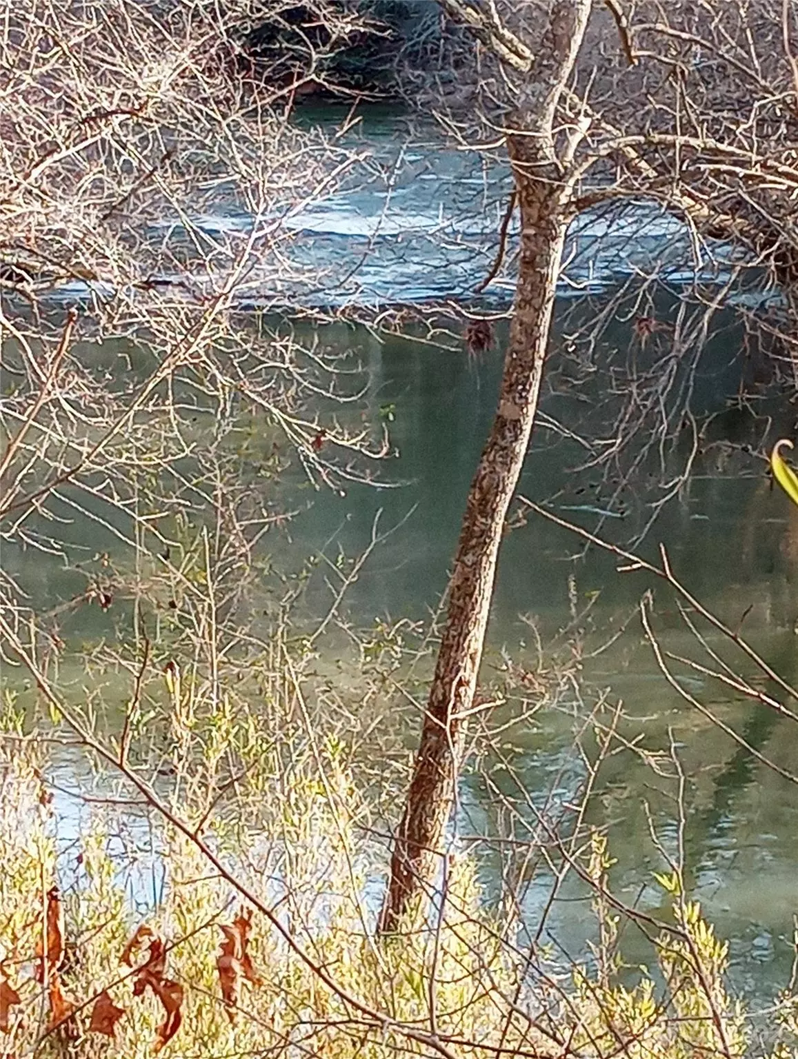 Mill Spring, NC 28756,Off Womack RD