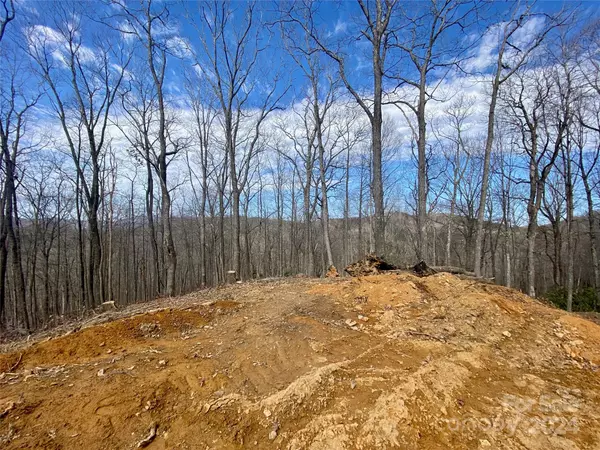 TBD Old Chestnut Mountain RD, Newland, NC 28657