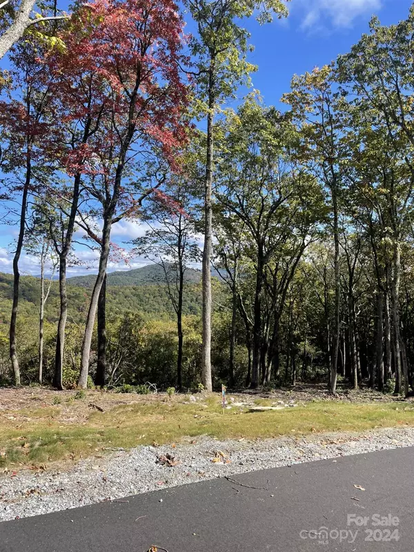 Hendersonville, NC 28792,0000 East Garden TRL #Lot 45