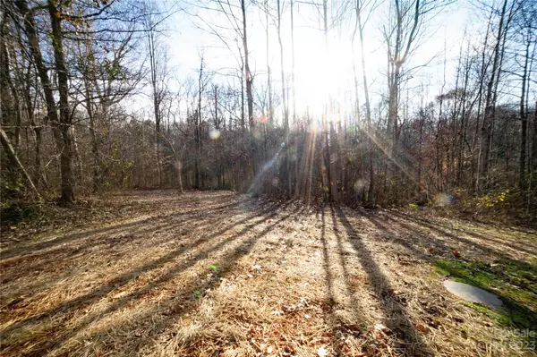 Statesville, NC 28625,165 Cedar Ridge LOOP