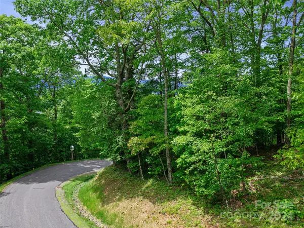 Burnsville, NC 28714,Lot 17 Old Growth Forest RD
