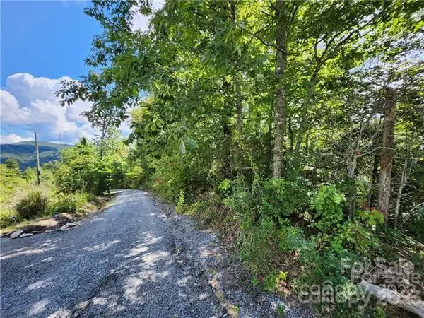 Hendersonville, NC 28792,53 Autumn View DR