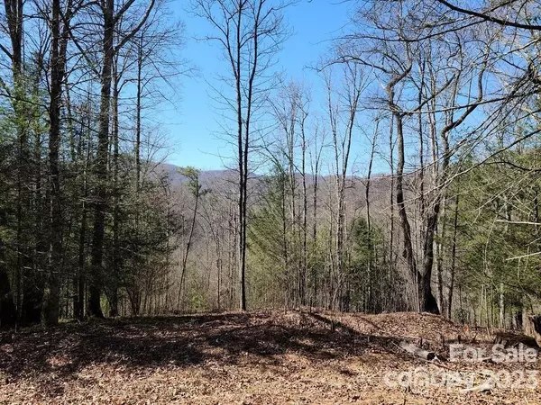 000 Elise WAY #Lot 7, Waynesville, NC 28785