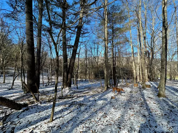 Boone, NC 28607,T4 seneca DR