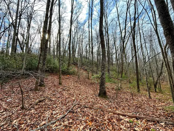 Saluda, NC 28773,Lot 7 Azalea WAY