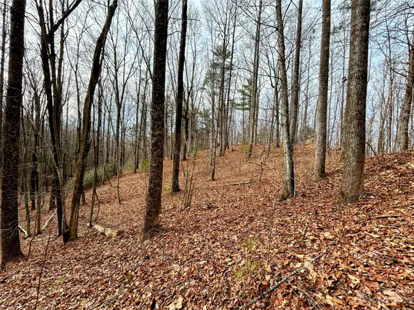 Saluda, NC 28773,Lot 13 Rhododendron DR