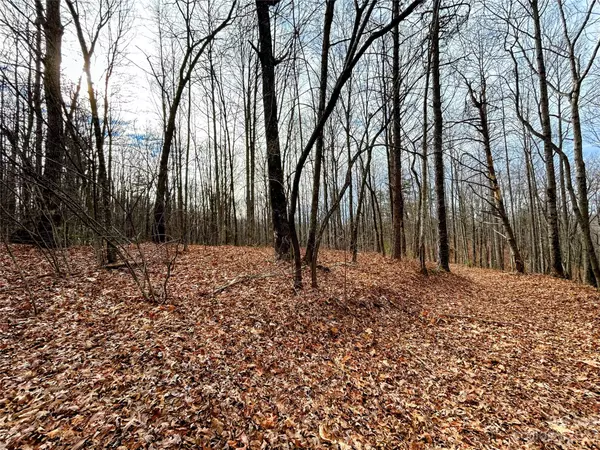 Lot 13 Rhododendron DR,  Saluda,  NC 28773