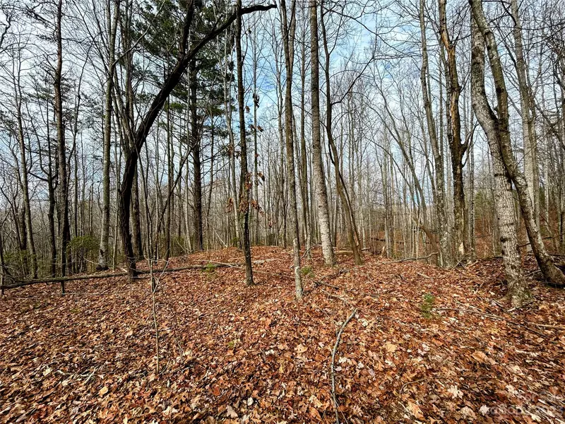 Lot 14 Rhododendron DR, Saluda, NC 28773