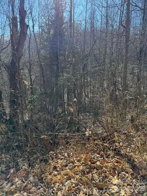 Zirconia, NC 28790,0 Angel View LN