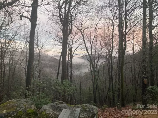 Millers Creek, NC 28651,639 Clear Branch DR