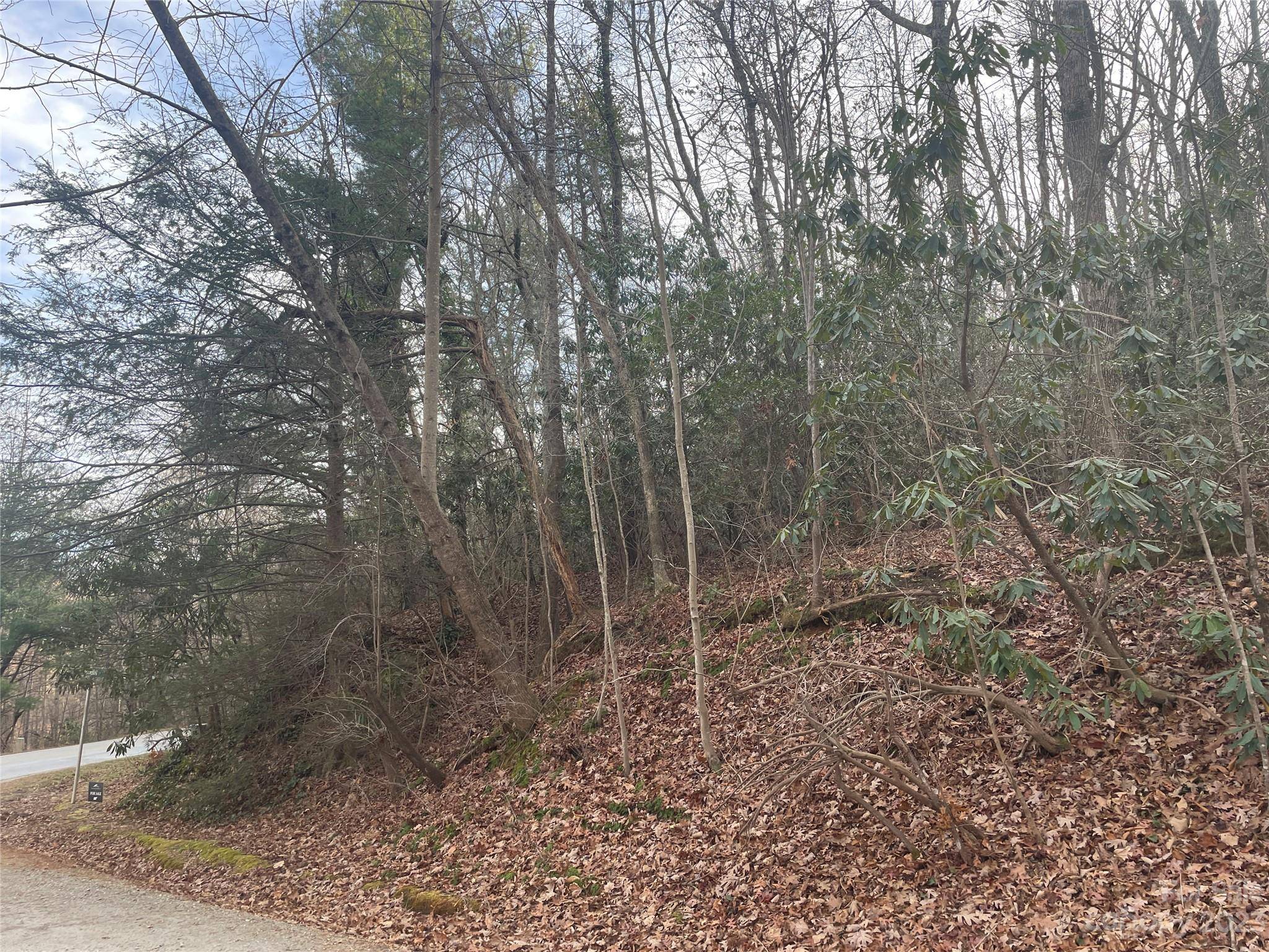 Saluda, NC 28773,000 Robin LN