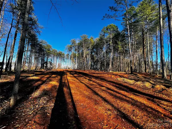 Davidson, NC 28036,109 Hunt Camp TRL #19