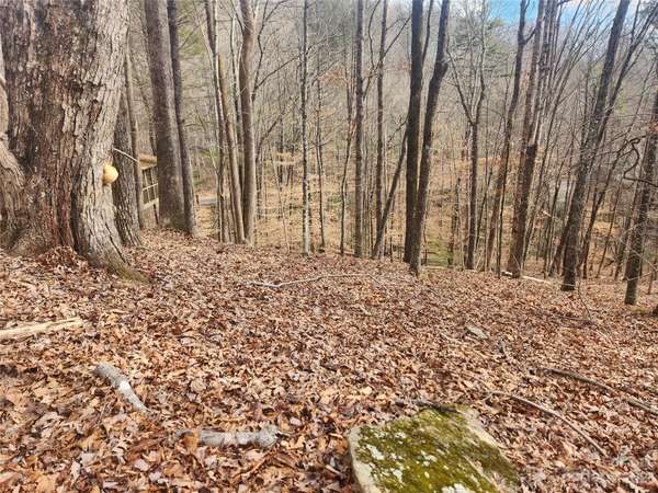 Lake Lure, NC 28746,Lot 83 Walnut LN