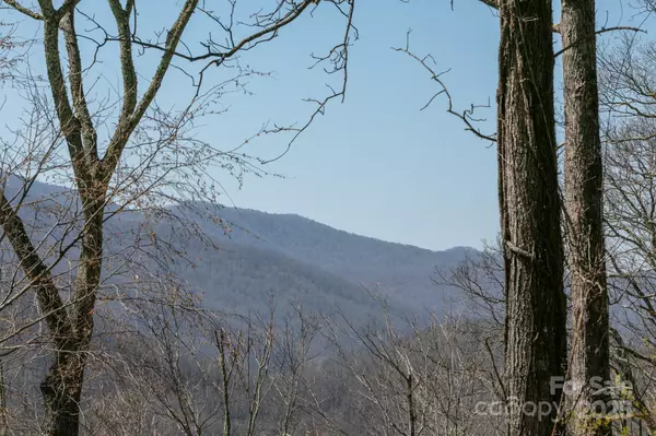 Burnsville, NC 21714,LOT 13 Austin Mountain DR #13/3