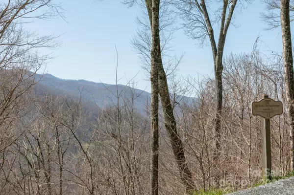 Burnsville, NC 21714,LOT 13 Austin Mountain DR #13/3