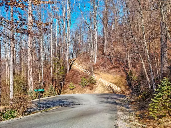 Asheville, NC 28803,64 Flora Rose TRL #6B