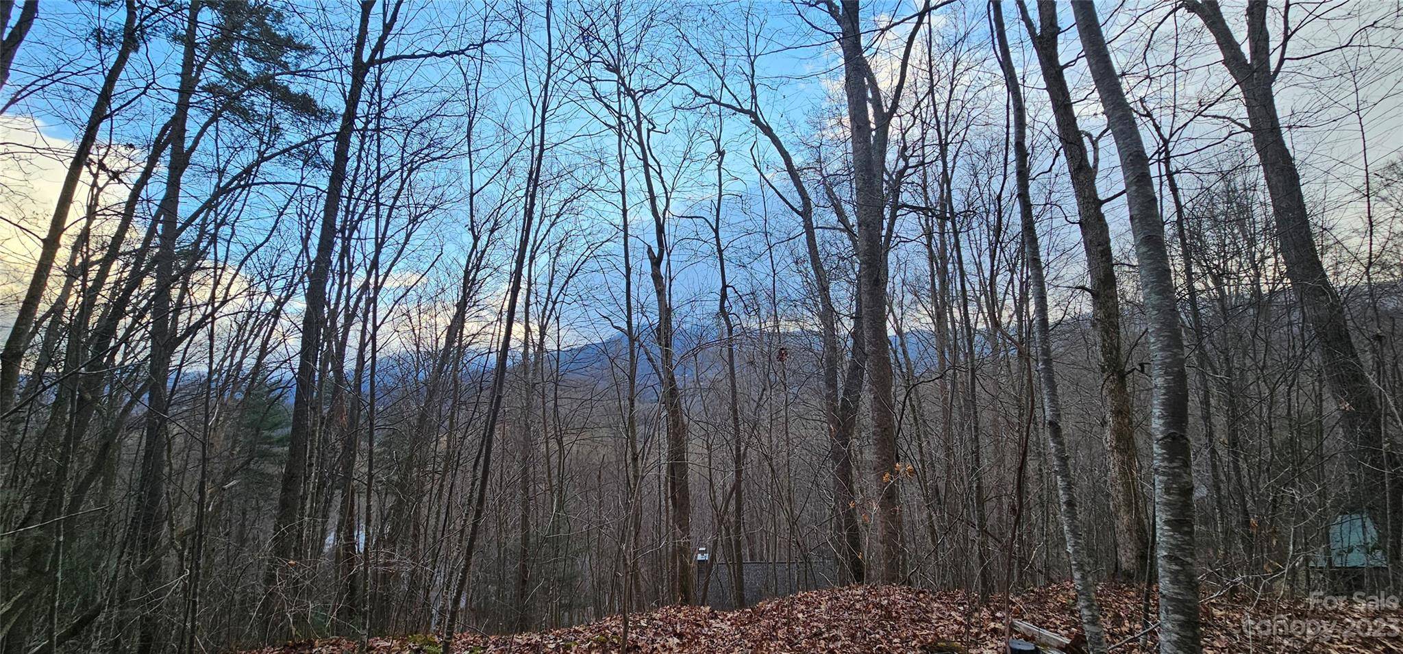 Waynesville, NC 28785,Lot 8 Seay Mountain RD