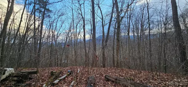 Lot 8 Seay Mountain RD, Waynesville, NC 28785