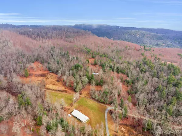 Zirconia, NC 28790,00 Cabin Creek RD
